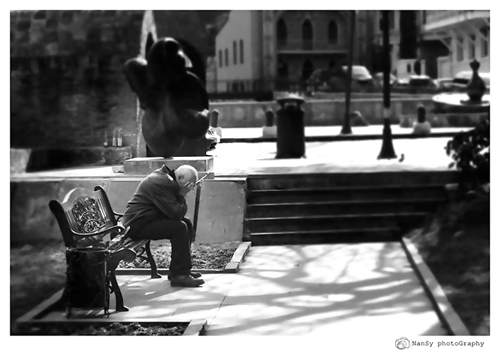 ფოტოგრაფი, რომლის ძაღლიც პროფესიონალურად პოზირებს... Rating